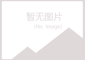 尖山区错过会计有限公司